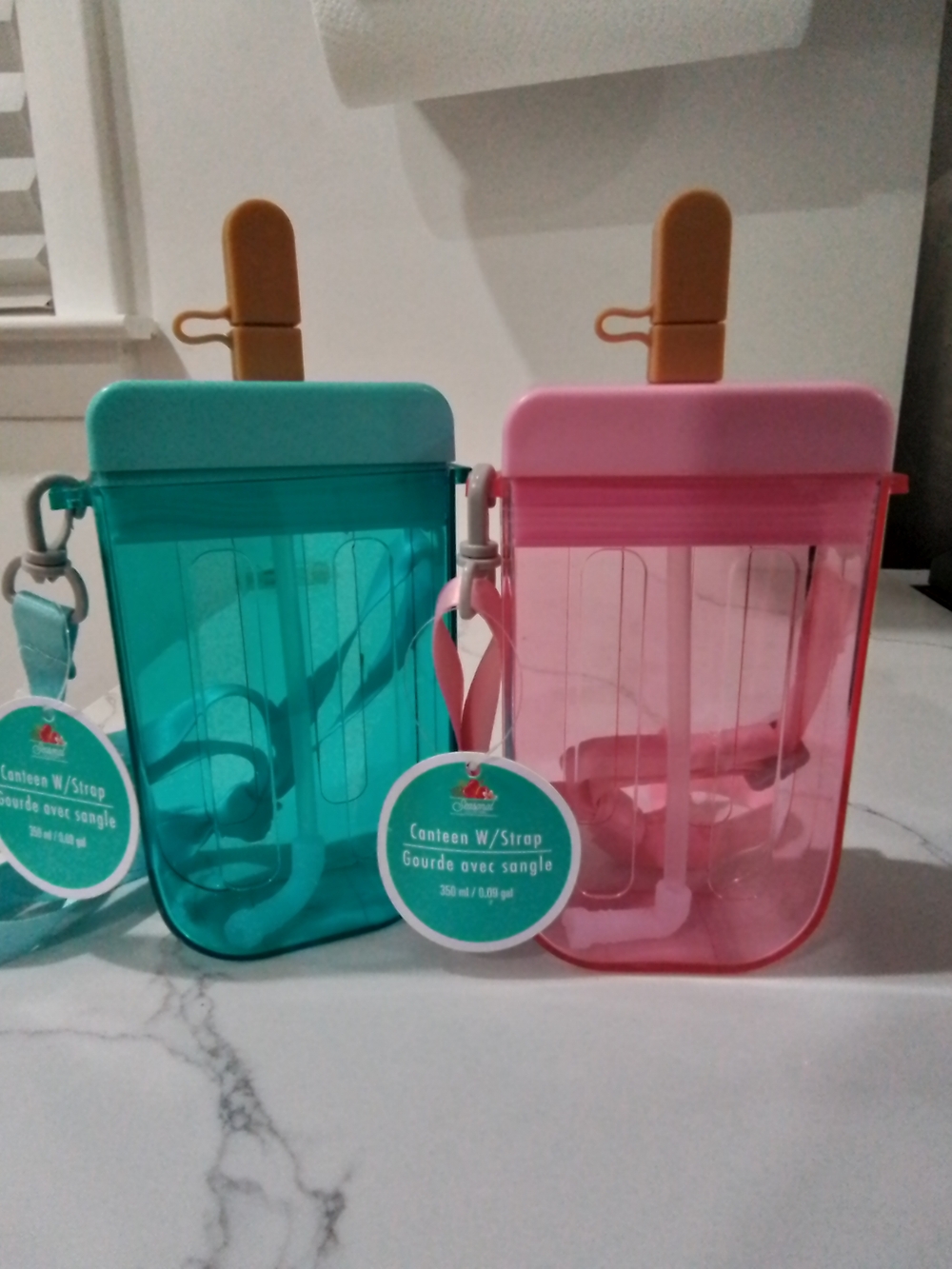 Acrylic Popsicle-Top Water Bottle with Strap - Teal & Pink